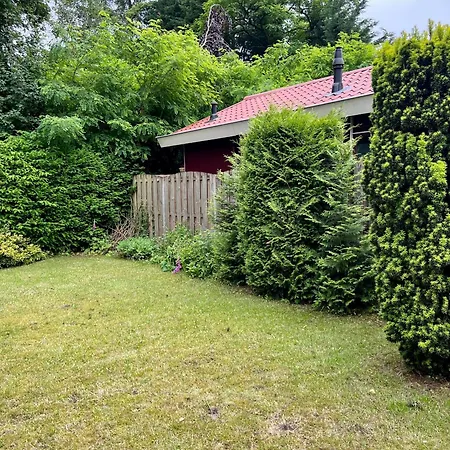 Luxe Boshuisje Met Privé Wellness&jacuzzi Op De Veluwe