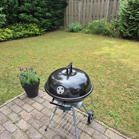 Luxe Boshuisje Met Privé Wellness&jacuzzi Op De Veluwe Ermelo