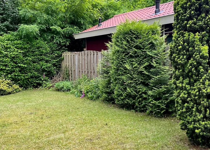 Luxe Boshuisje Met Prive Wellness & Jacuzzi Op De Veluwe