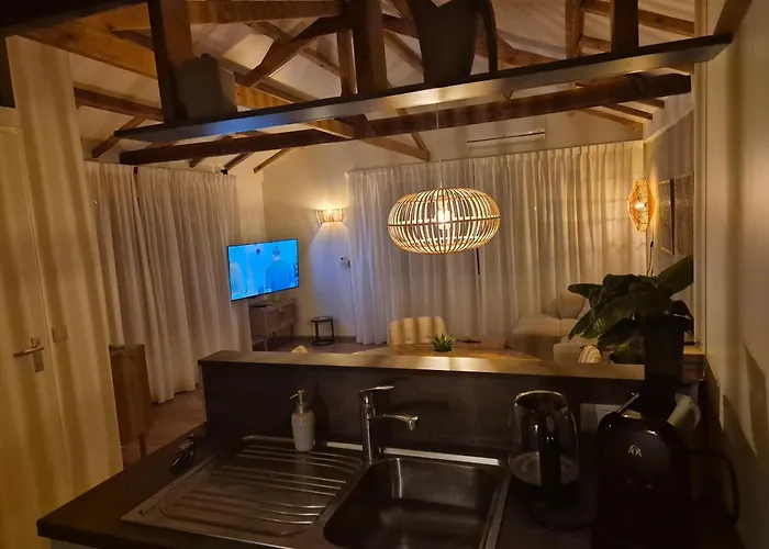 Luxe Boshuisje Met Prive Wellness & Jacuzzi Op De Veluwe Apartament